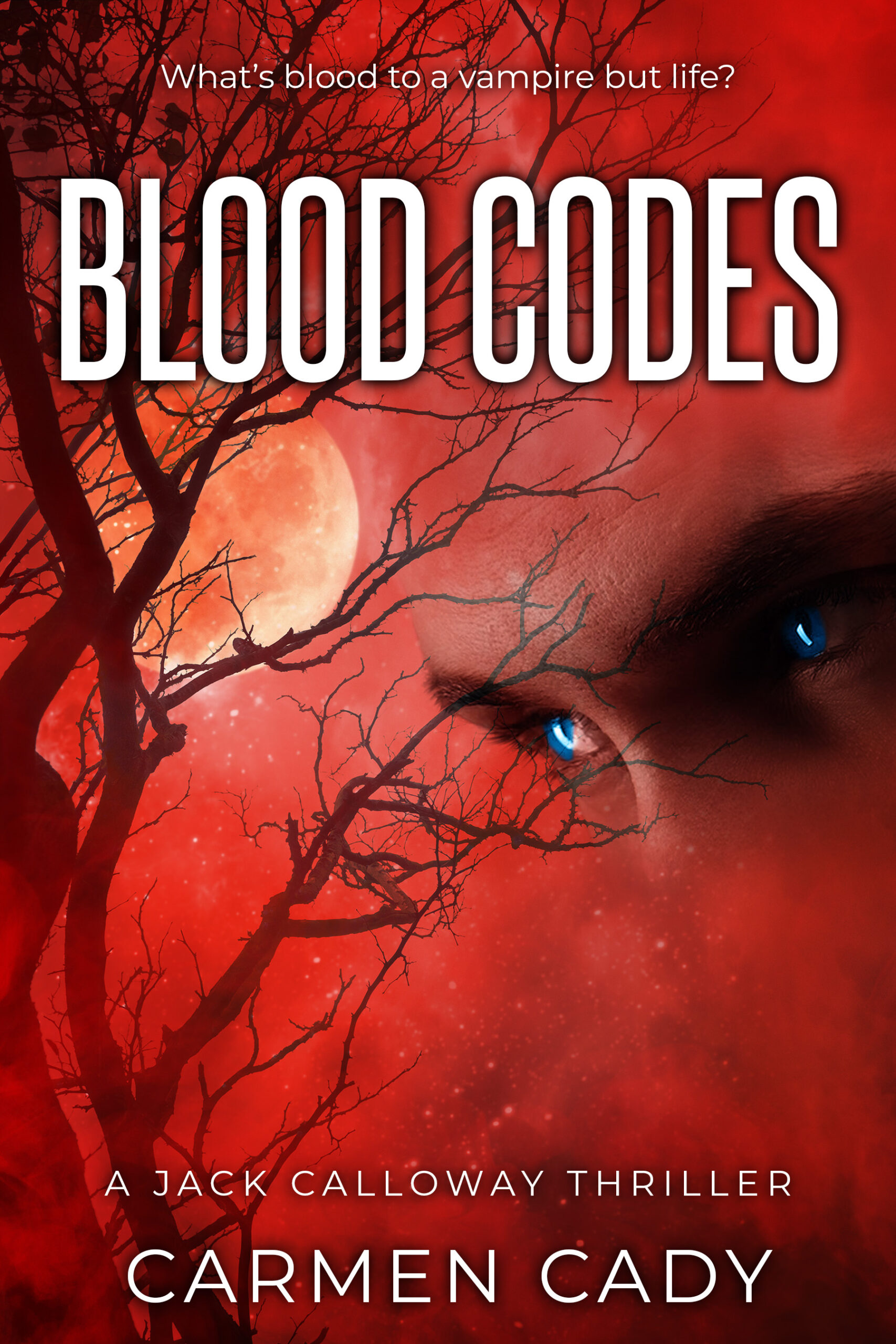 Blood Codes Launch Cady Publishing LLC   Blood Codes Front Updated 2 Scaled 